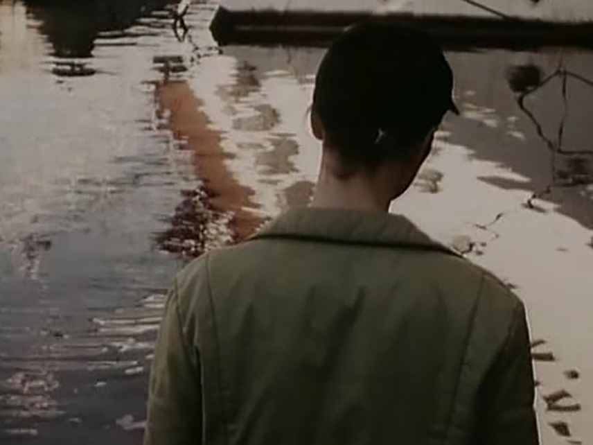 filler ve cimen. elephants and grass.