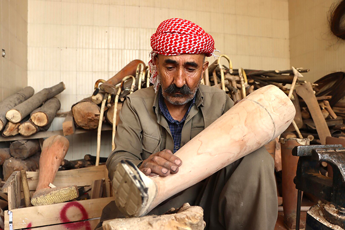 hopes from the tree. agactan umutlar.
